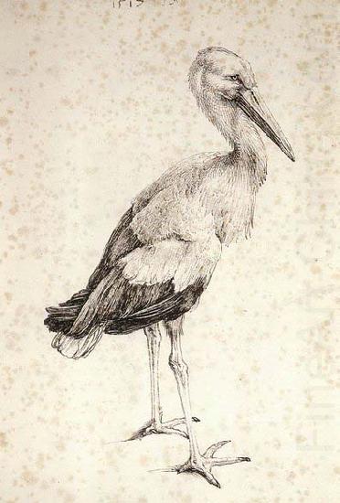 Albrecht Durer The Stork china oil painting image